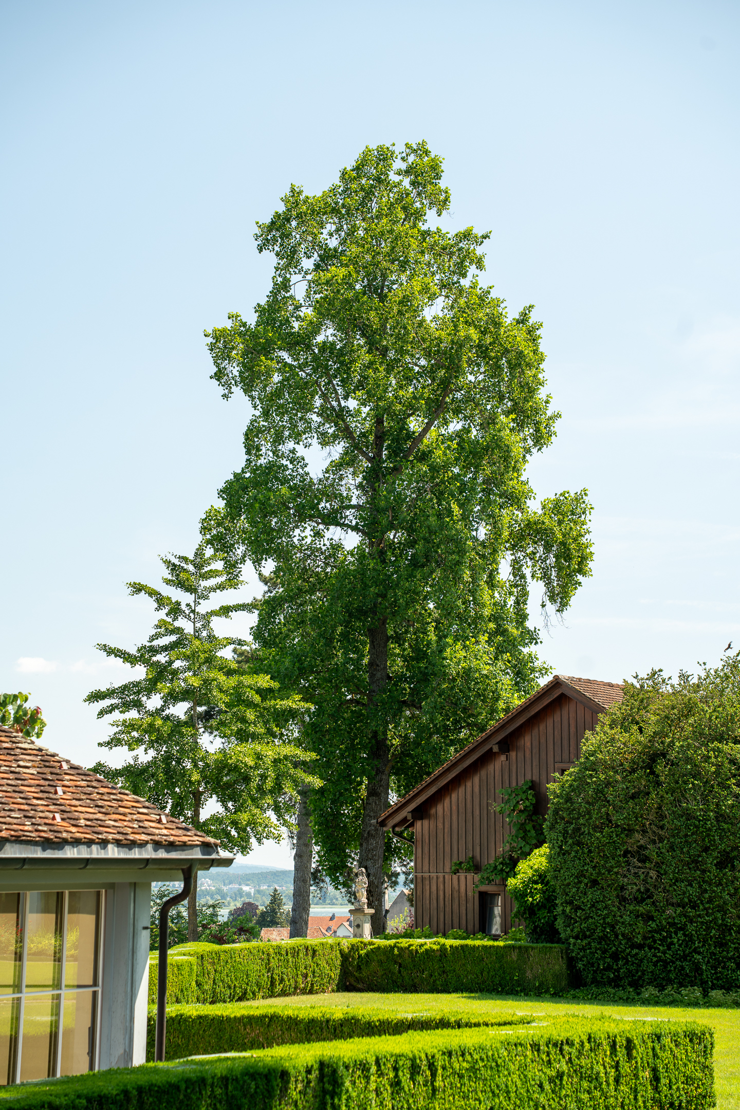 Parkanlage Lilienberg