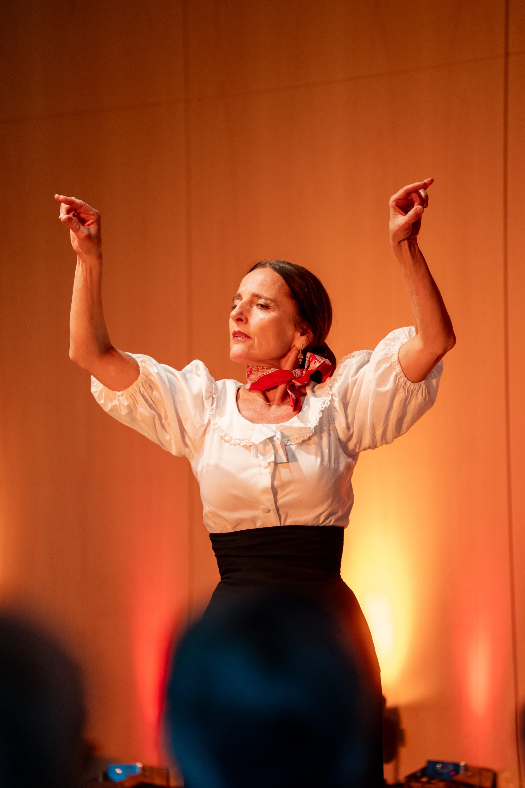 Flamenco & Appenzell