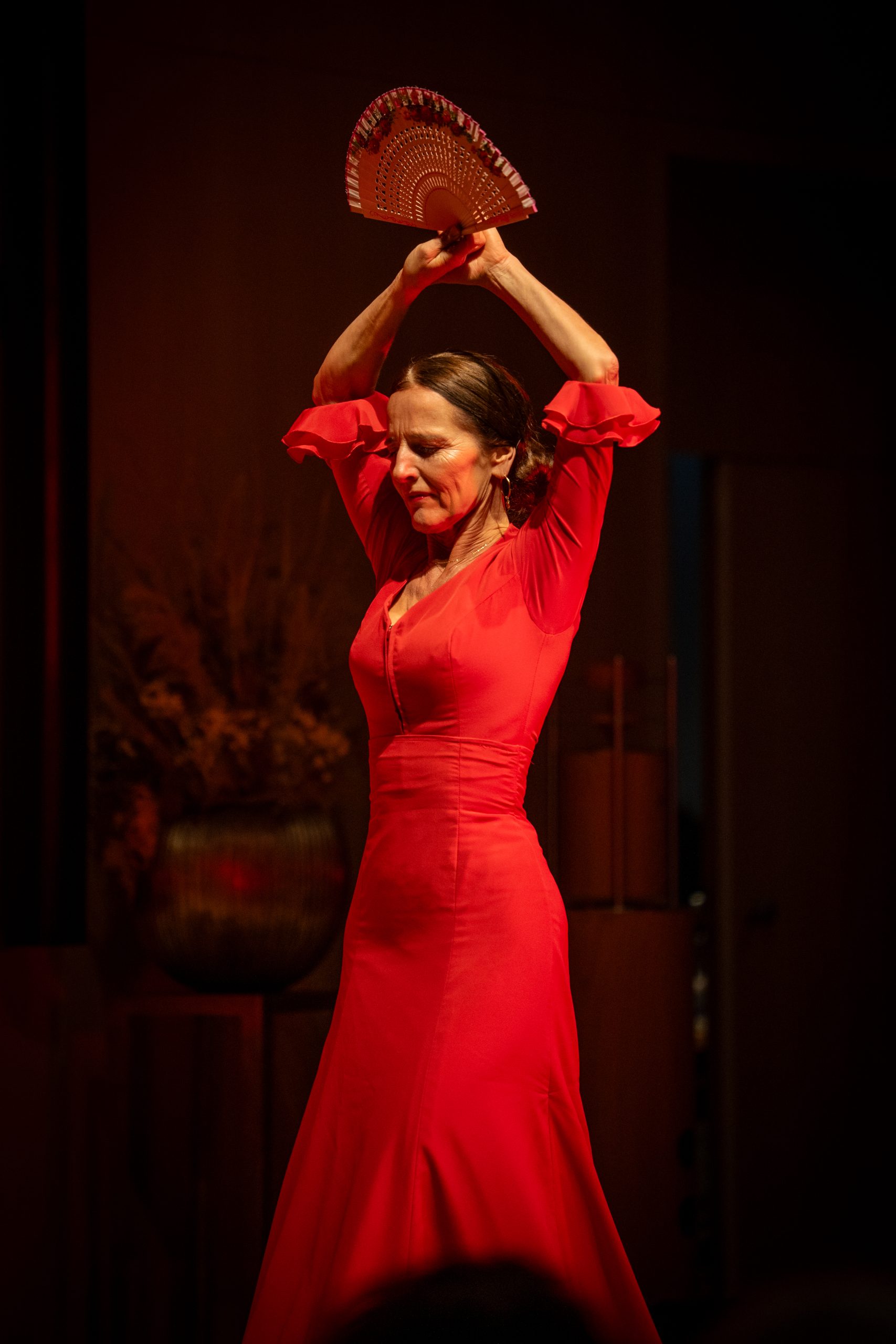 Flamenco & Appenzell